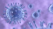 Researchers Simulate World's First Complete H1N1 Influenza Virus