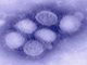 Simulated H1N1 Virus Gives Scientists the Freedom to Find Cures On-the-Go