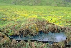 Sand Layer Plays a Key Role in Protecting the Underlying Permafrost in the Qinghai-Tibet Plateau