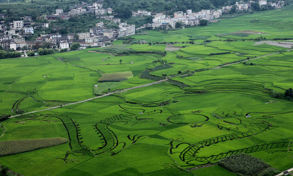 Green is new color of beauty