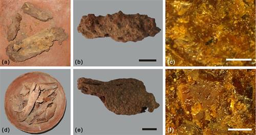 Chinese Archeologists Find Oldest Remains of Processed Wheaten Food in Xinjiang