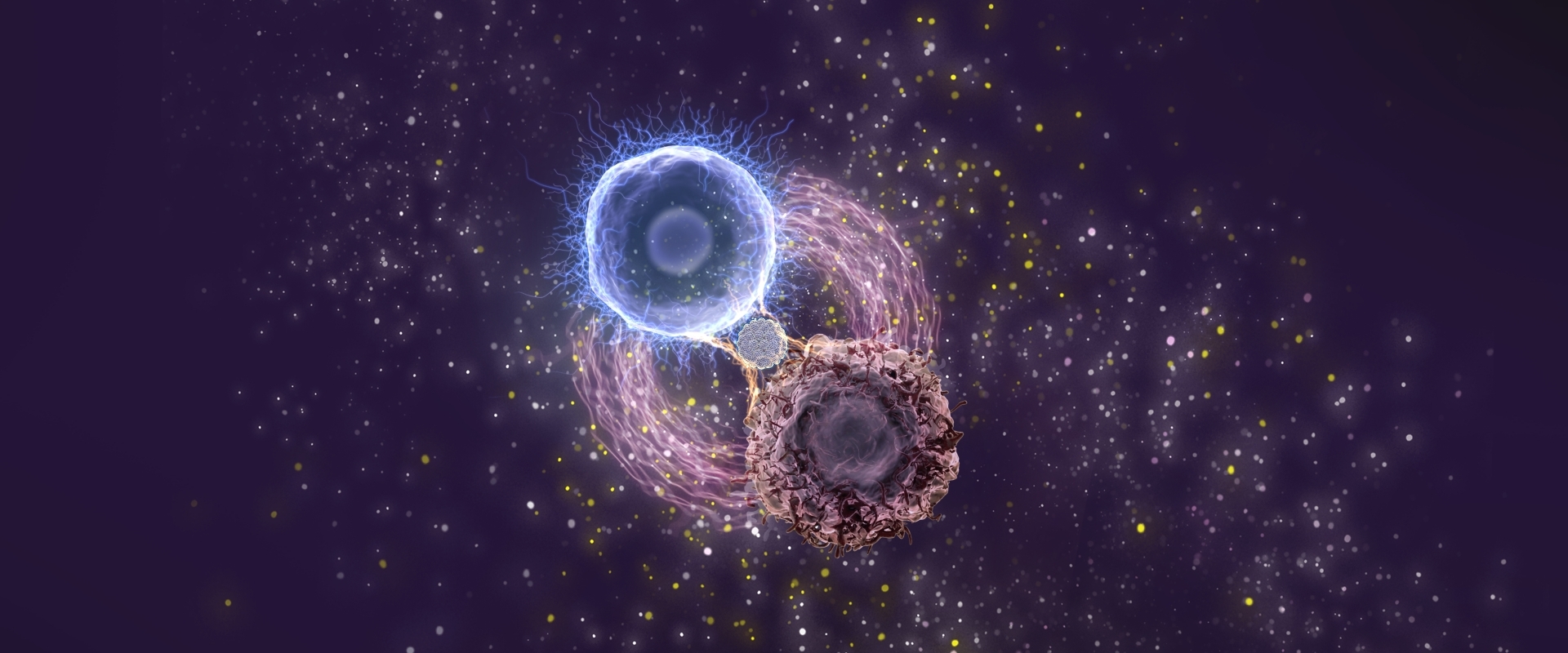 Researchers Develop a Biomimetic Platform to Enhance CAR T Cell Therapy Against Leukemia