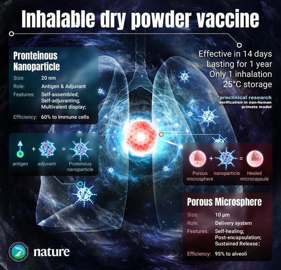 Chinese Researchers Develop New Dry-Powder Inhalable Vaccine Platform