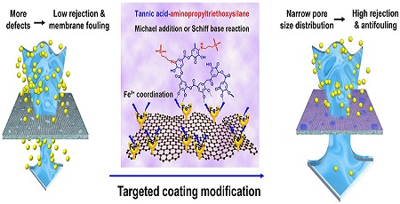 Targeted Coating Improves Graphene Oxide Membranes for Nanofiltration