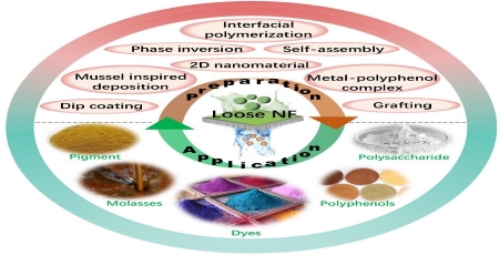 Loose Nanofiltration Membrane Is Promising in Resource Recovery