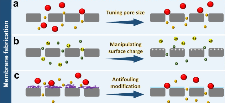 Scientists Propose Promising Strategies to Enhance Separation Selectivity of Nanofiltration