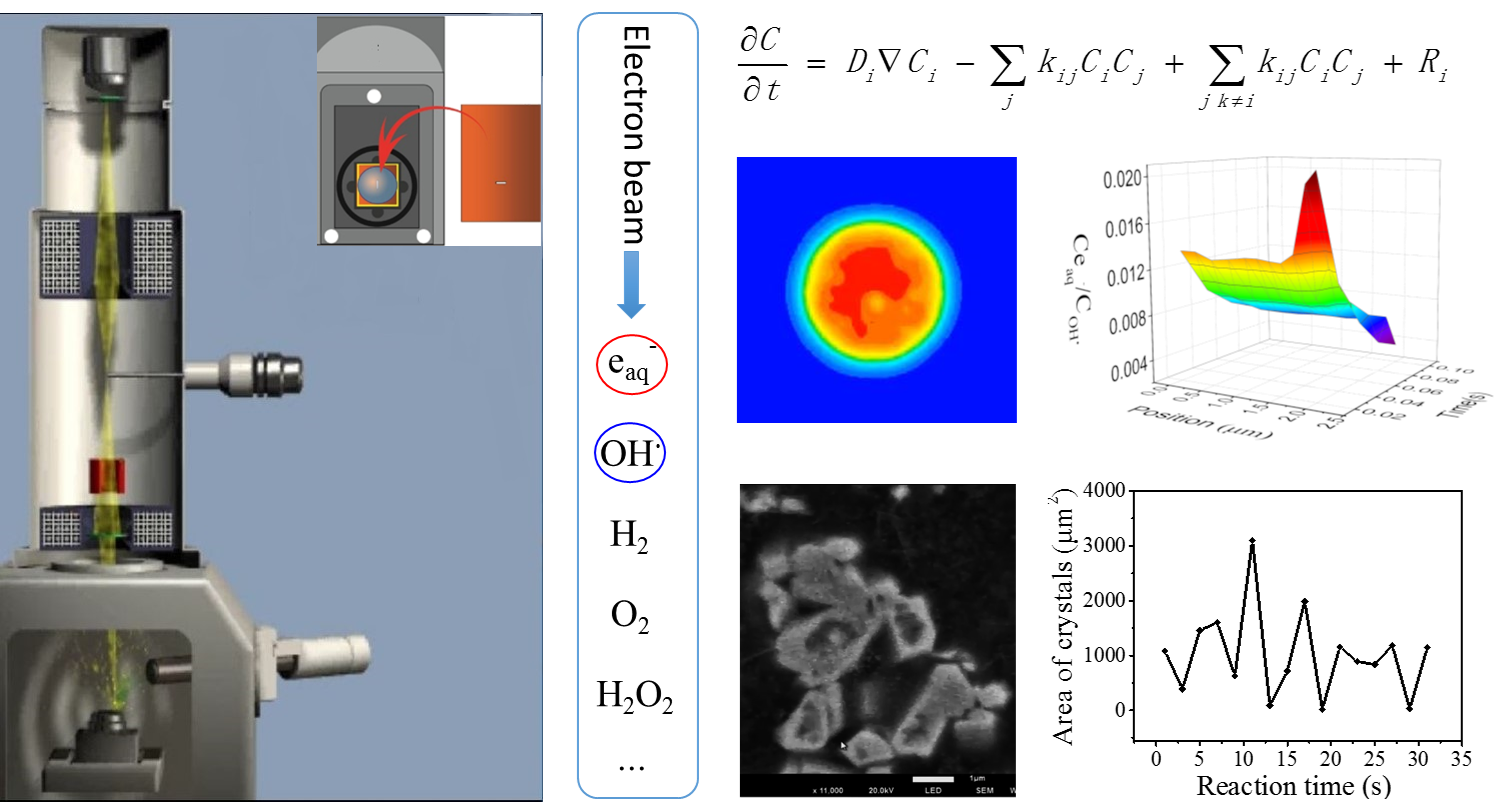 Scientists Reveal Dynamic Silver Crystallization by In-Situ SEM