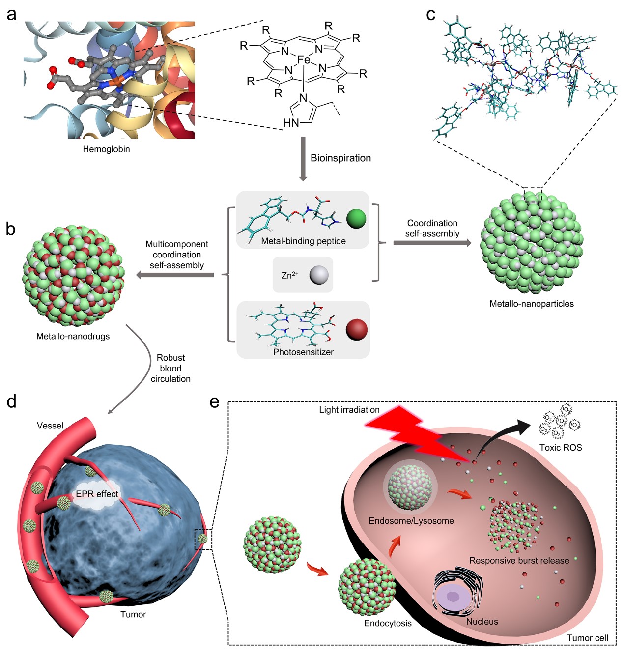 Researchers Developed Multicomponent Coordination Self-assembly Strategy for Metallo-nanodrug Fabrication