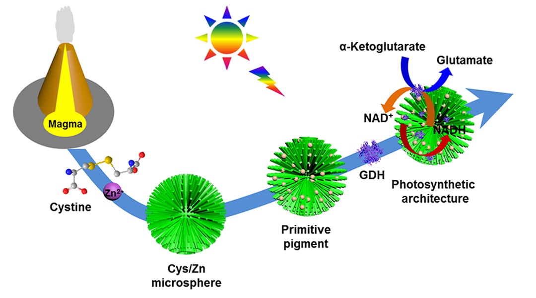 Scientists Get Primitive Pigment from Prebiotic Molecules