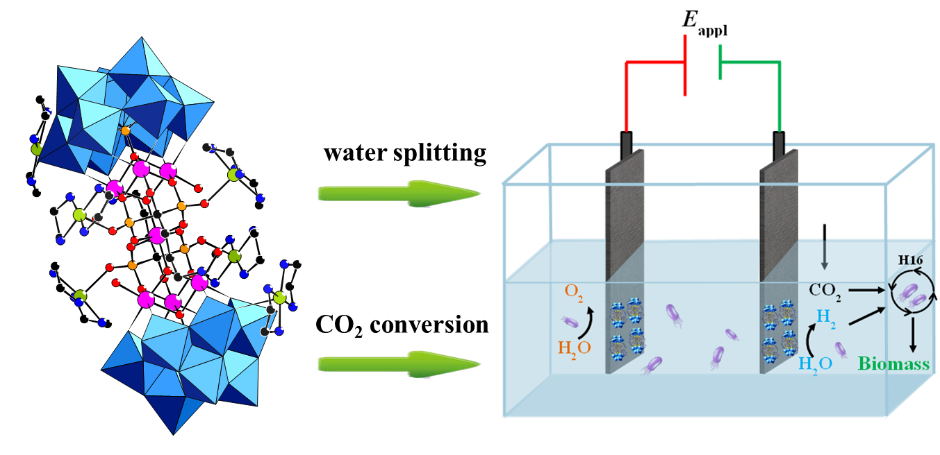 A Polyoxometalate-based Electromicrobial System to Convert CO<sub>2</sub>