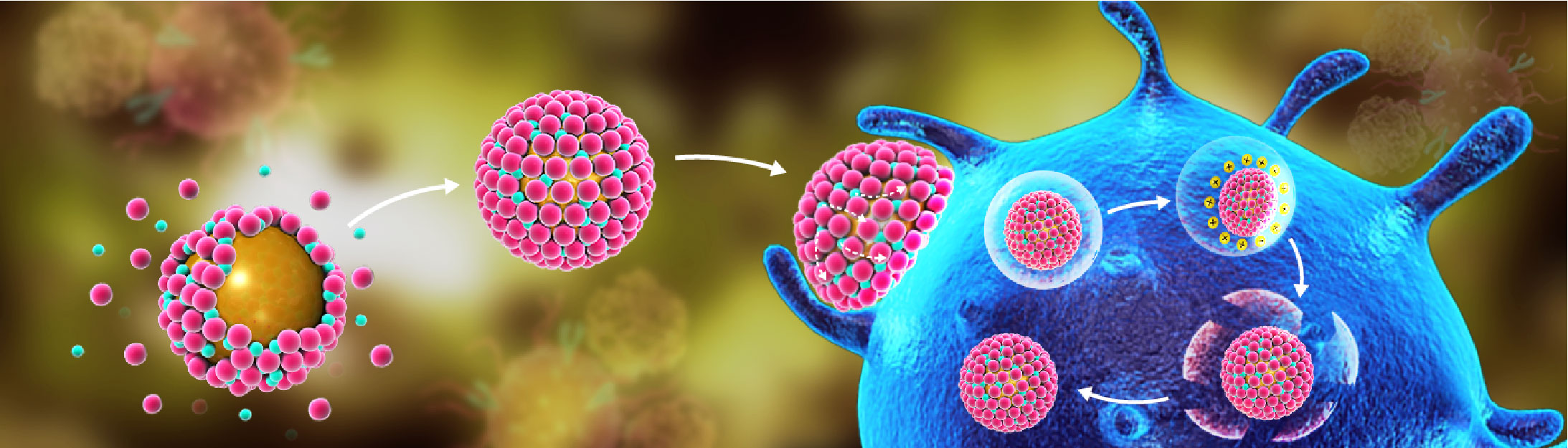 Dynamic remodeling as new strategy for particulate adjuvant development