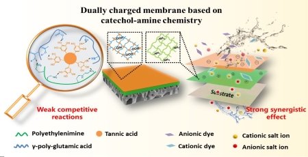 Catechol-amine Chemistry Makes Membrane with a Dually Charged Layer