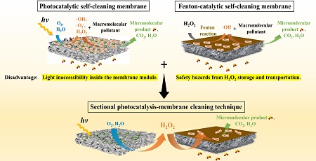 Photogenerated Cleaner to Remove Membrane Fouling