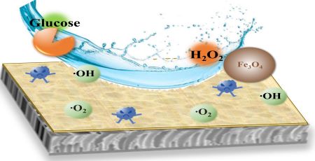 Researchers Propose Chemoenzymatic Cascade Reaction for Membrane Cleaning