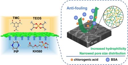 Researchers Regulate Pore Size Distribution to Improve Nanofiltration Membrane