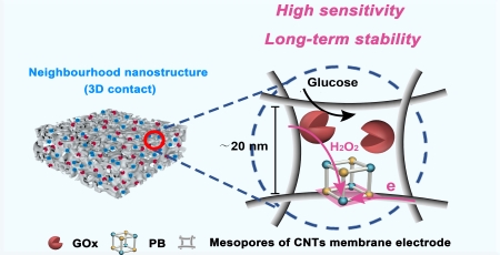 Scientists Develop Novel Biosensing-membrane for Glucose Detection and Monitoring
