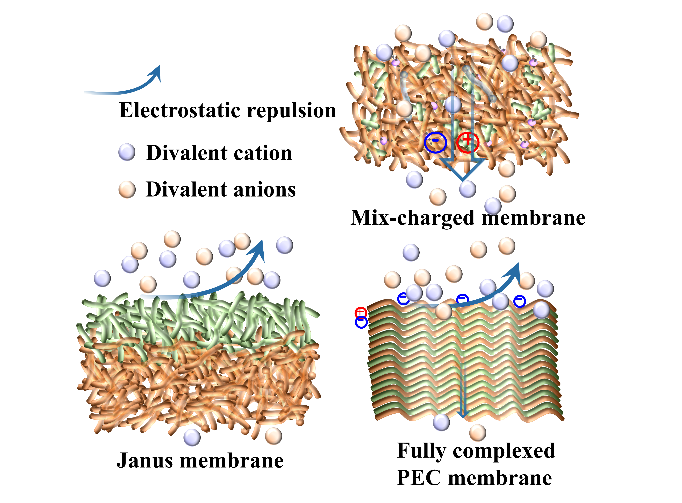 Novel Mix-charged Nanofiltration Membrane Decveloped for High-Salinity Wastewater Treatment