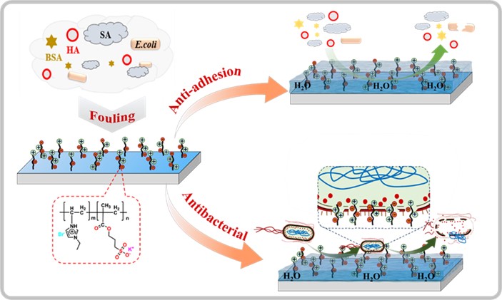 Chinese Researchers Develop Novel Reverse Osmosis Membrane to Reduce Biofouling