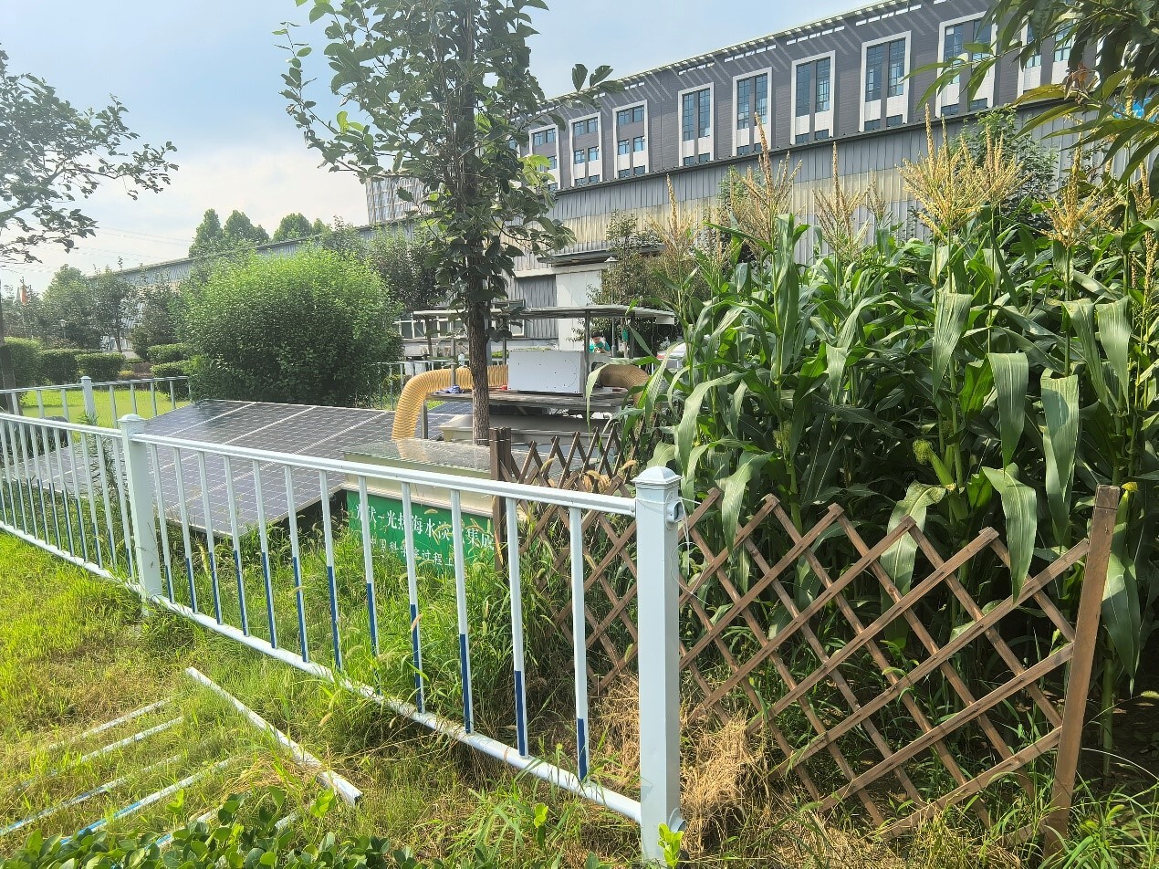 New 3D Photothermal Structure Enables Efficient Solar Desalination and Crop Irrigation
